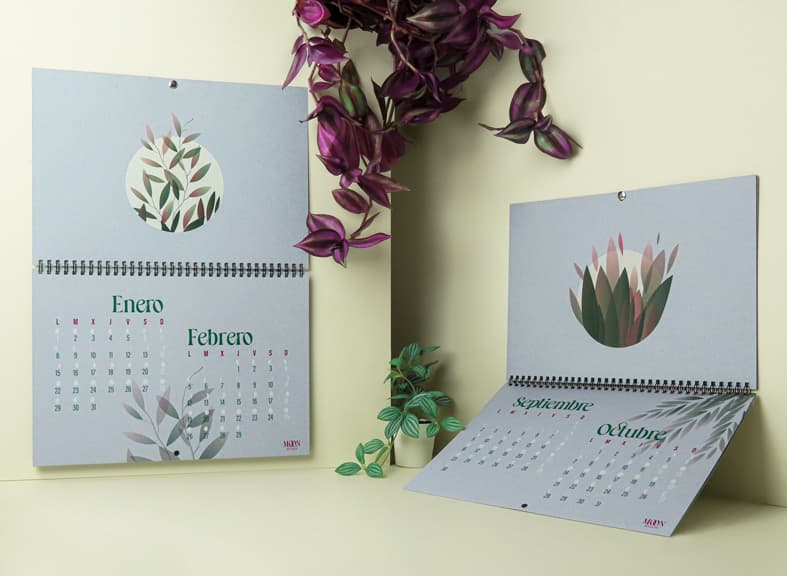 Diferenciación desde el primer momento