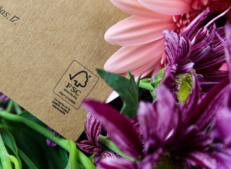 Sostenibilidad y medio ambiente