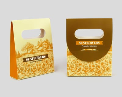 Cajas Tipo Bolsa