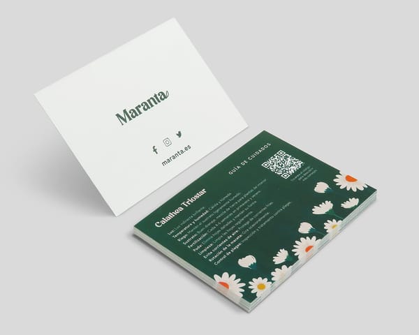 Hojas ecológicas (Reciclado)