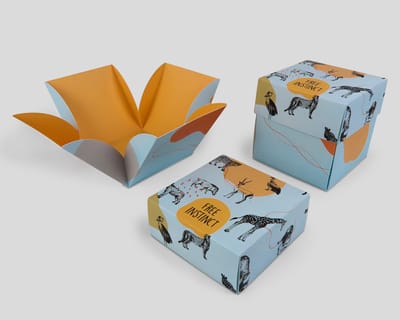 Cubo desplegable con tapa
