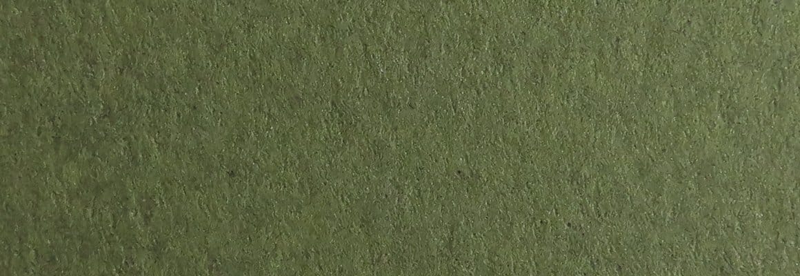 Tintoretto Ceylon Wasabi