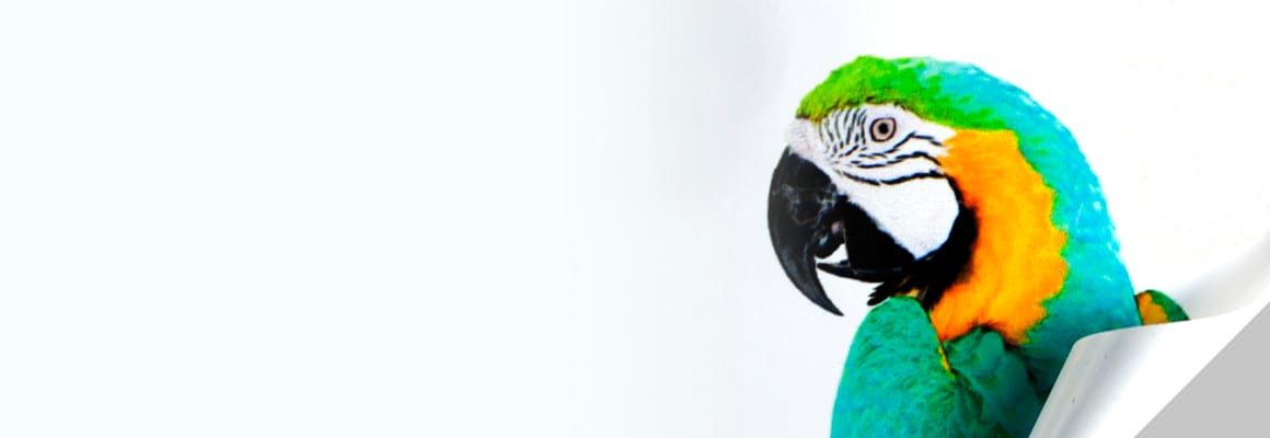 Vinilo monomu00e9rico blanco mate