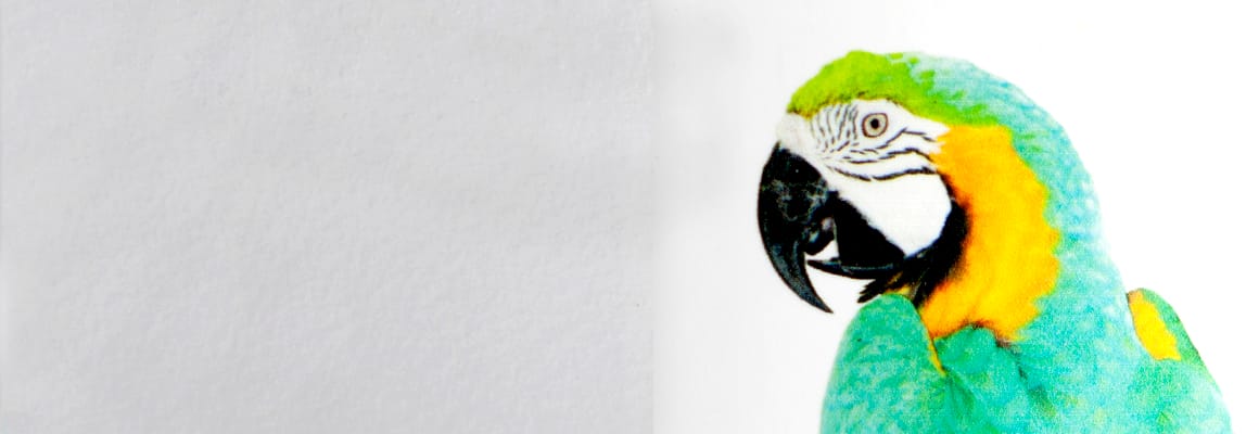 Vinilo monomu00e9rico transparente brillo